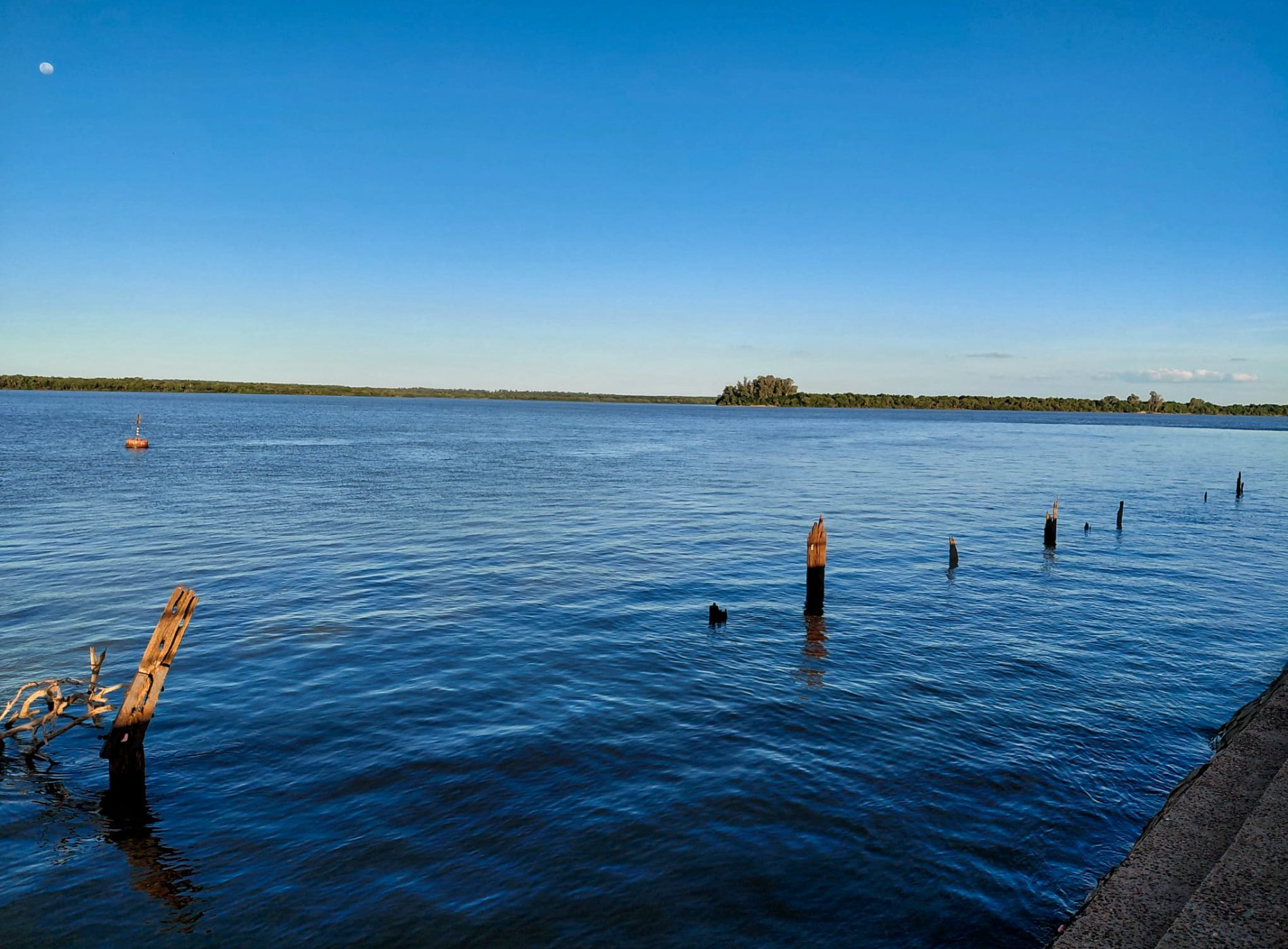 Denise_Argentine_088_05 février 2026